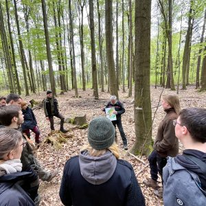 Marteloskop-Übung im Tharandter Wald