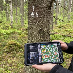 Managing forests virtually
