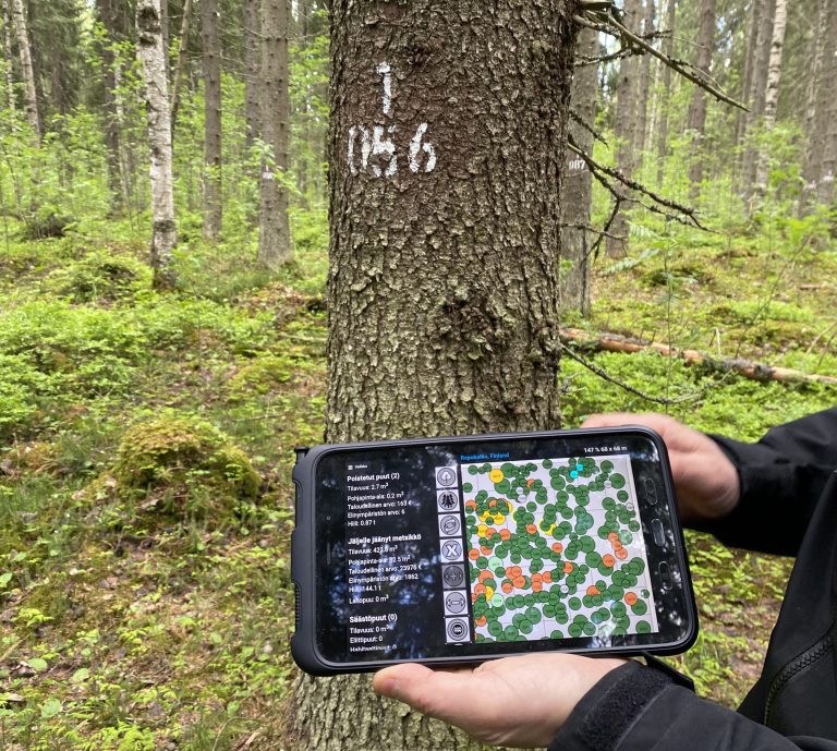 Managing forests virtually