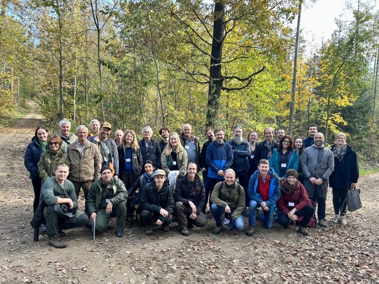 Where tradition meets transformation – Walking Austria’s forest floor at this year’s 10th Annual Integrate Network Meeting