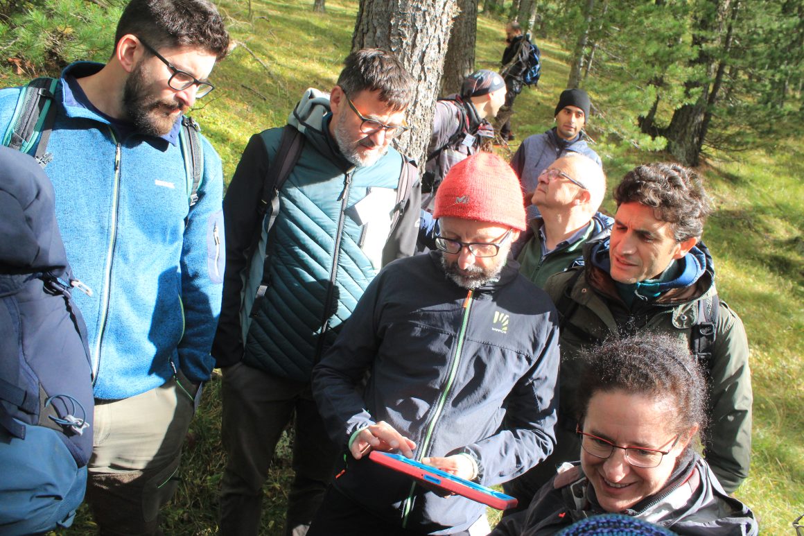 Virtual tree marking in Italy