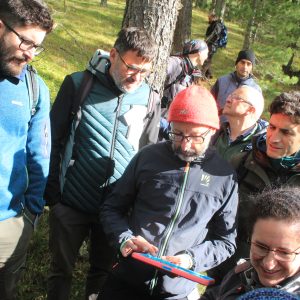 Virtual tree marking in Italy