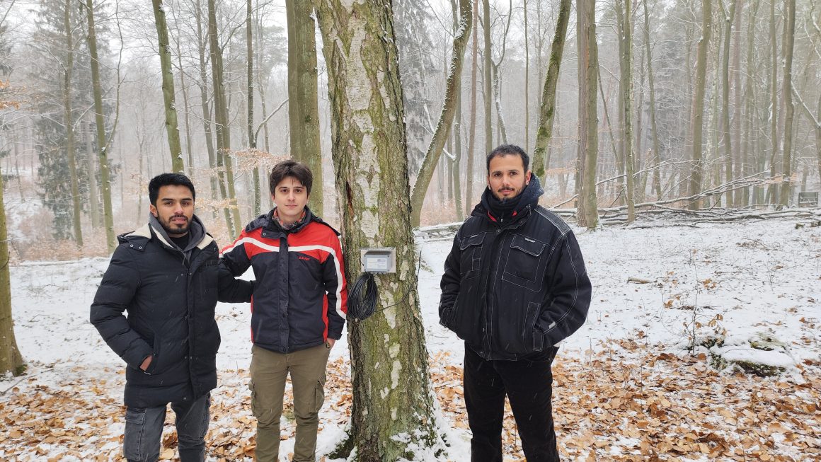 Monitoring Tree Growth with Dendrometers: A Hands-on Experience in Haselberg