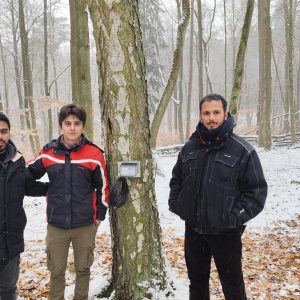 Monitoring Tree Growth with Dendrometers: A Hands-on Experience in Haselberg