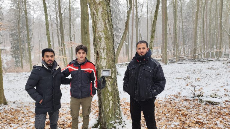 Monitoring Tree Growth with Dendrometers: A Hands-on Experience in Haselberg