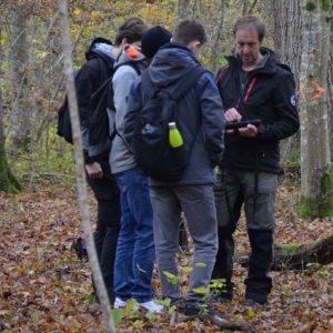Interactive learning experience for students in the “Mooswald” Marteloscope in Freiburg