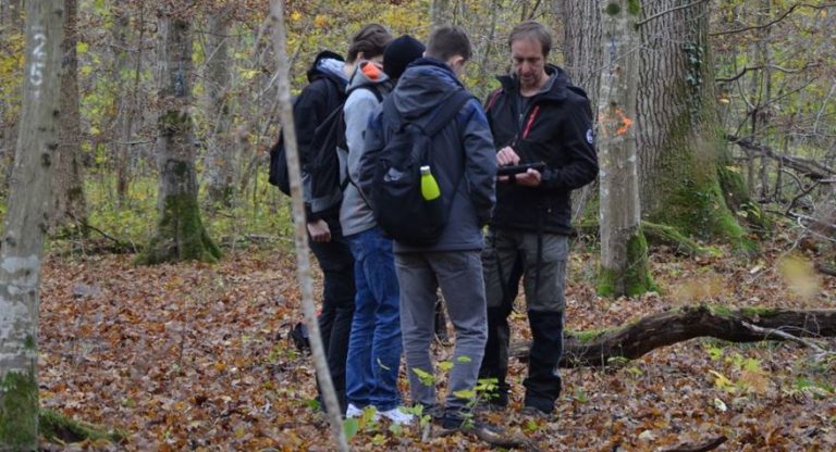 Interactive learning experience for students in the “Mooswald” Marteloscope in Freiburg