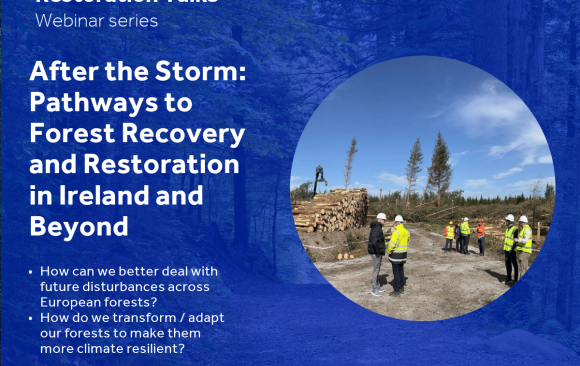 Upcoming Webinar: “After the Storm: Pathways to Forest Recovery and Restoration in Ireland and Beyond”