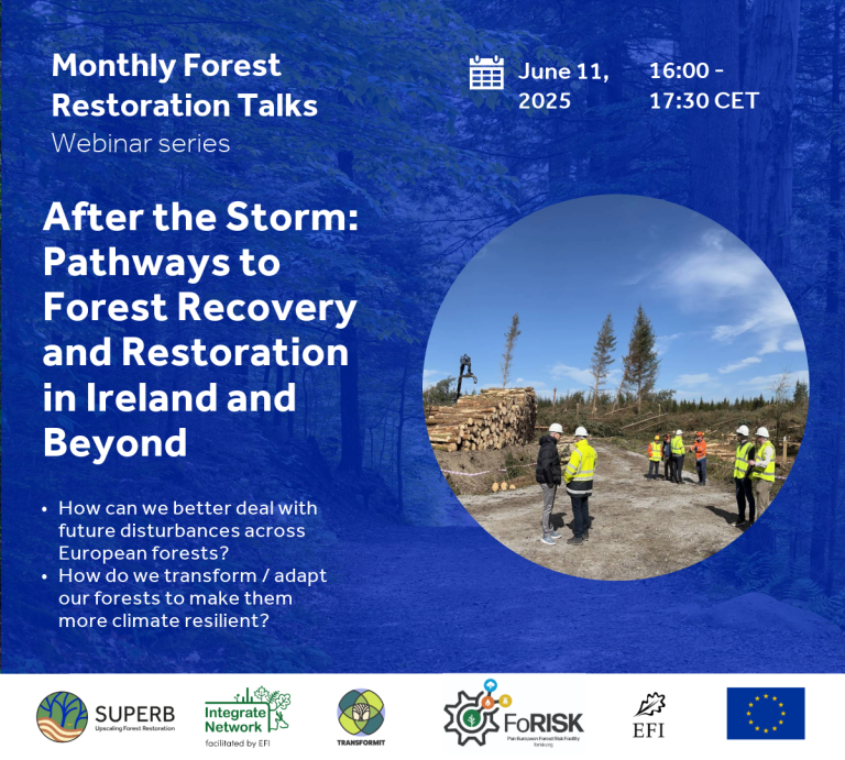 Upcoming Webinar: “After the Storm: Pathways to Forest Recovery and Restoration in Ireland and Beyond”