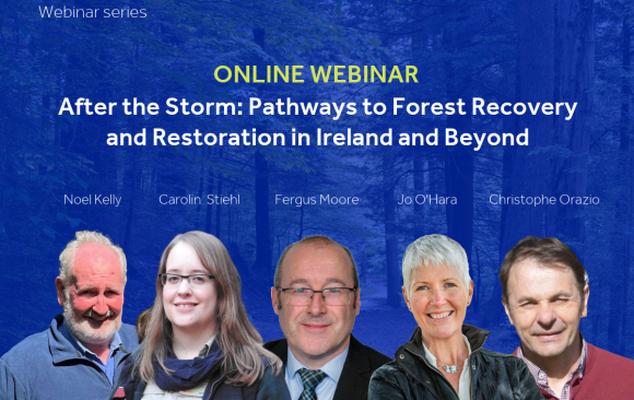 LAST CHANCE TO REGISTER – Join our Integrate Webinar on June 11, 16:00 CET