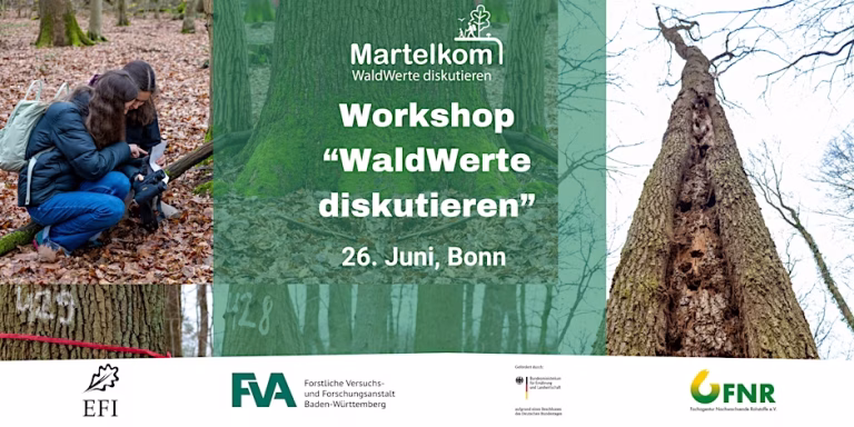 Workshop “WaldWerte diskutieren”