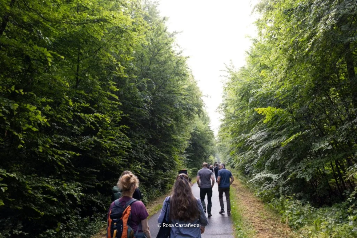 Between forest and living room – Encounters in the Kottenforst