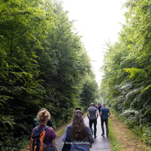 Between forest and living room – Encounters in the Kottenforst