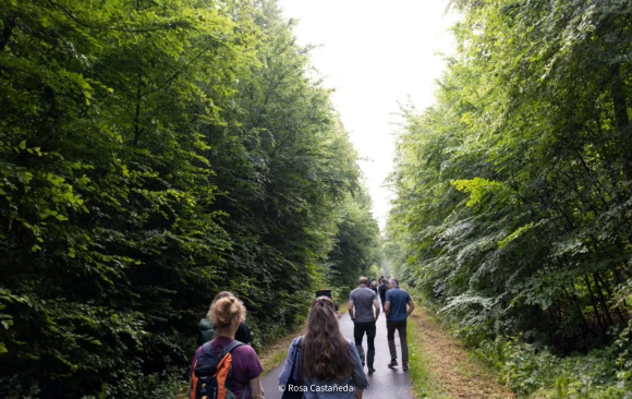 Between forest and living room – Encounters in the Kottenforst
