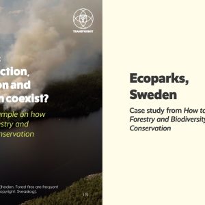 Ecoparks: Can protection, production and recreation coexist?  