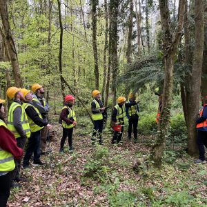 Outdoor Forest training is back: Join the two-day workshop in Ireland