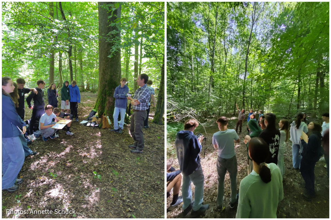 “Off we go to the forest!” – Ecological lessons in a German marteloscope
