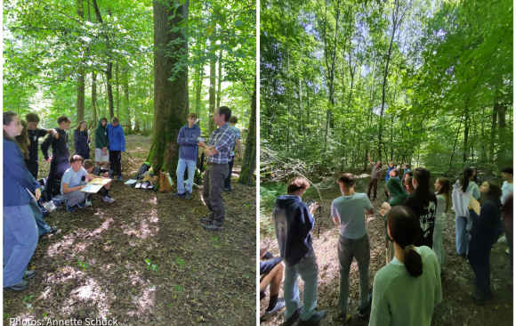 “Off we go to the forest!” – Ecological lessons in a German marteloscope