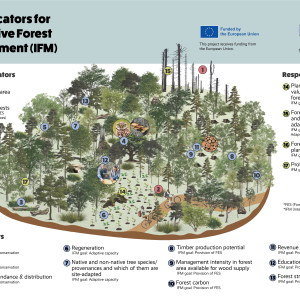 Transforming Forests into Futures along 17 Key Indicators