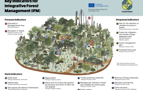 Transforming Forests into Futures along 17 Key Indicators