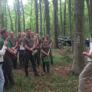 Establishing a Network of Marteloscopes in Western Ukraine