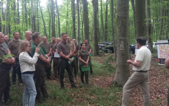 Establishing a Network of Marteloscopes in Western Ukraine