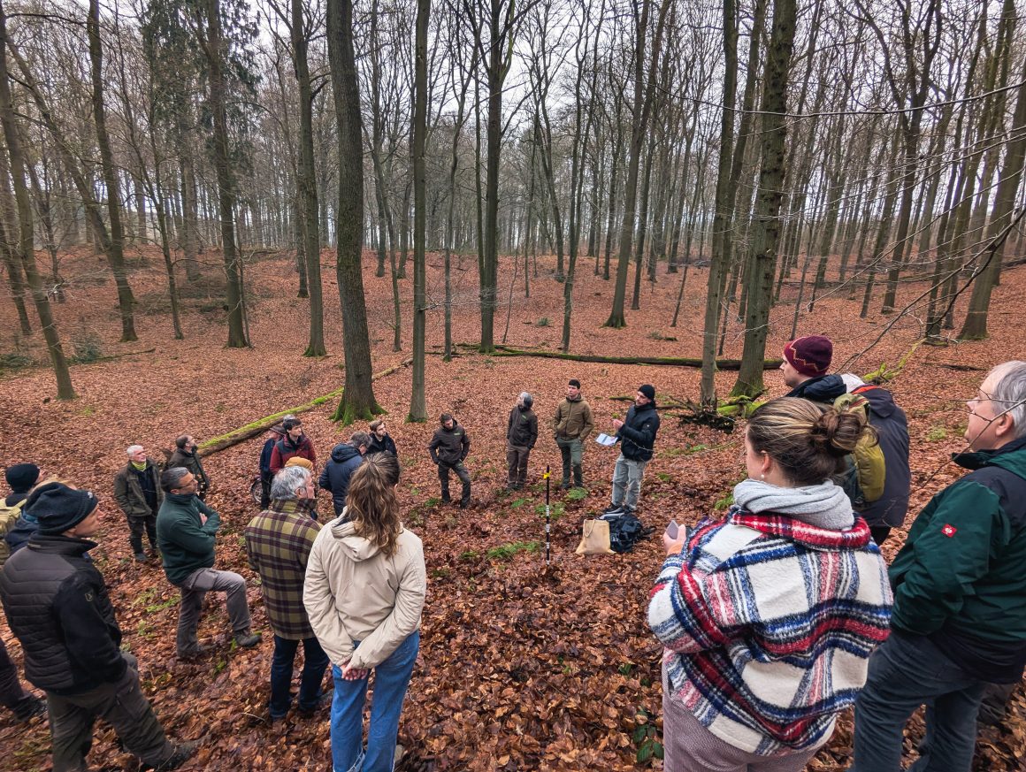 Measuring and estimating carbon stocks and biodiversity potential in forests: exploring new tools