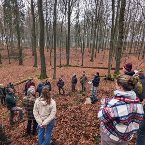 Measuring and estimating carbon stocks and biodiversity potential in forests: exploring new tools