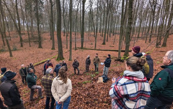 Measuring and estimating carbon stocks and biodiversity potential in forests: exploring new tools