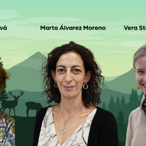 International Women’s Day: Who are the women shaping our network?