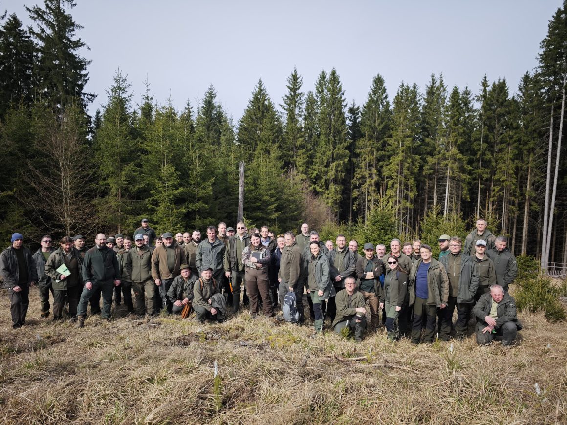 Training on tree microhabitats for the National Forest Inventory enters practice