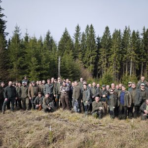Training on tree microhabitats for the National Forest Inventory enters practice