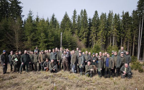 Training on tree microhabitats for the National Forest Inventory enters practice