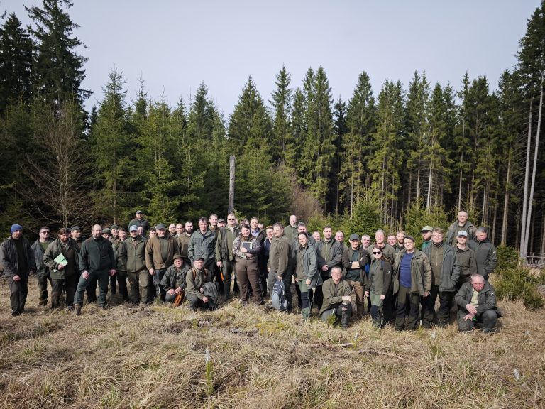 Training on tree microhabitats for the National Forest Inventory enters practice