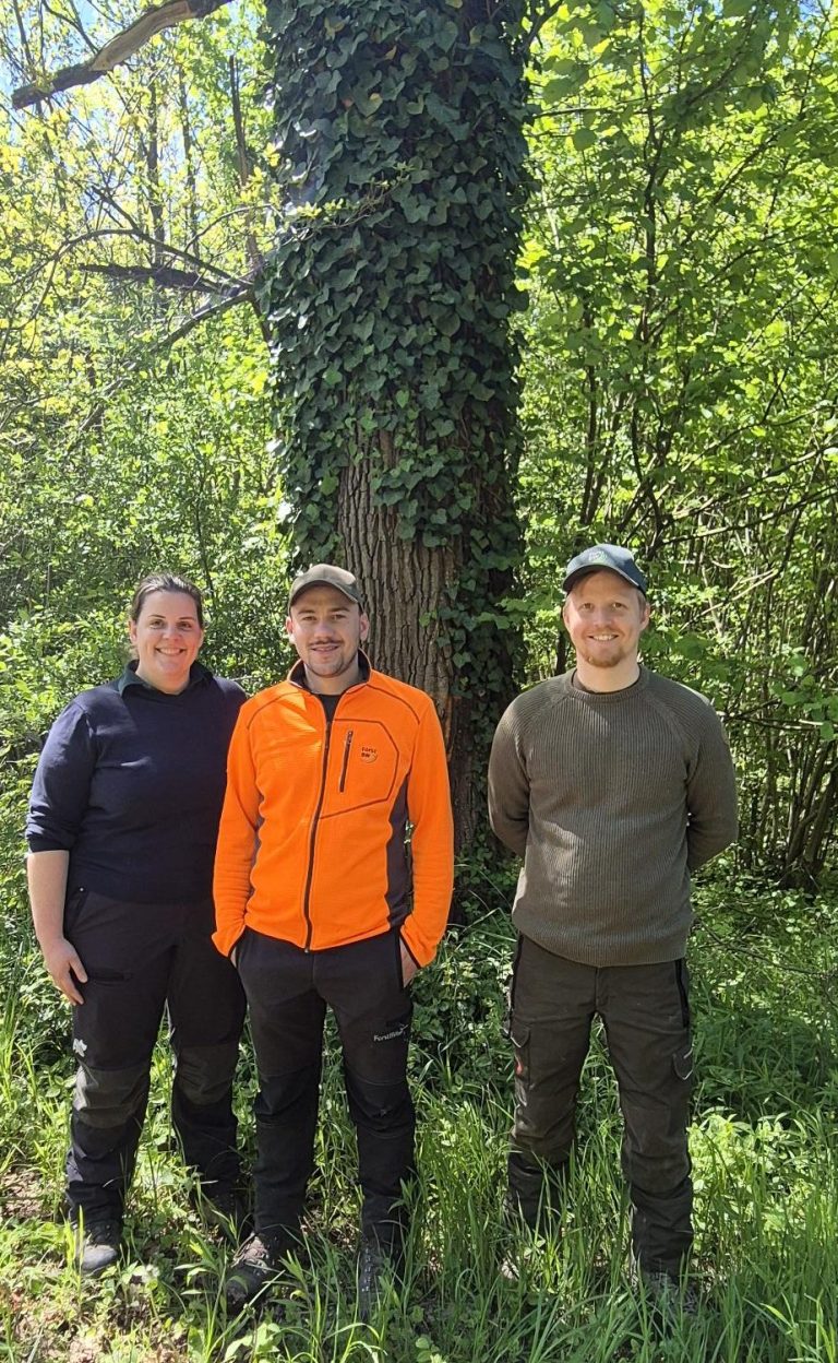 Mooswald Marteloscope: Forest Management Discussions and Training Visions for the Future