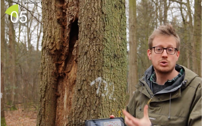 Video what is Materloscope?