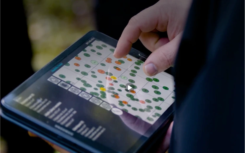 Video Managing forests virtually