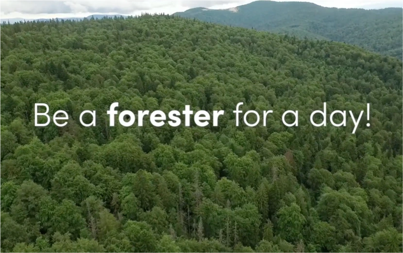 Video Be a forester for a day!
