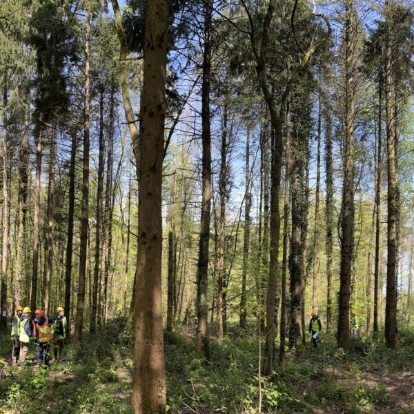 IBP “Train the Trainers” event is bearing first fruits: Ireland to host multiple outdoor workshops this Spring