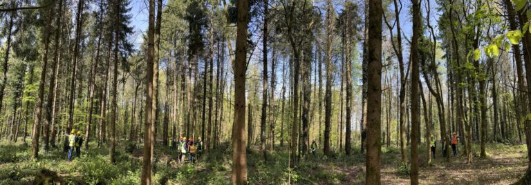 IBP “Train the Trainers” event is bearing first fruits: Ireland to host multiple outdoor workshops this Spring