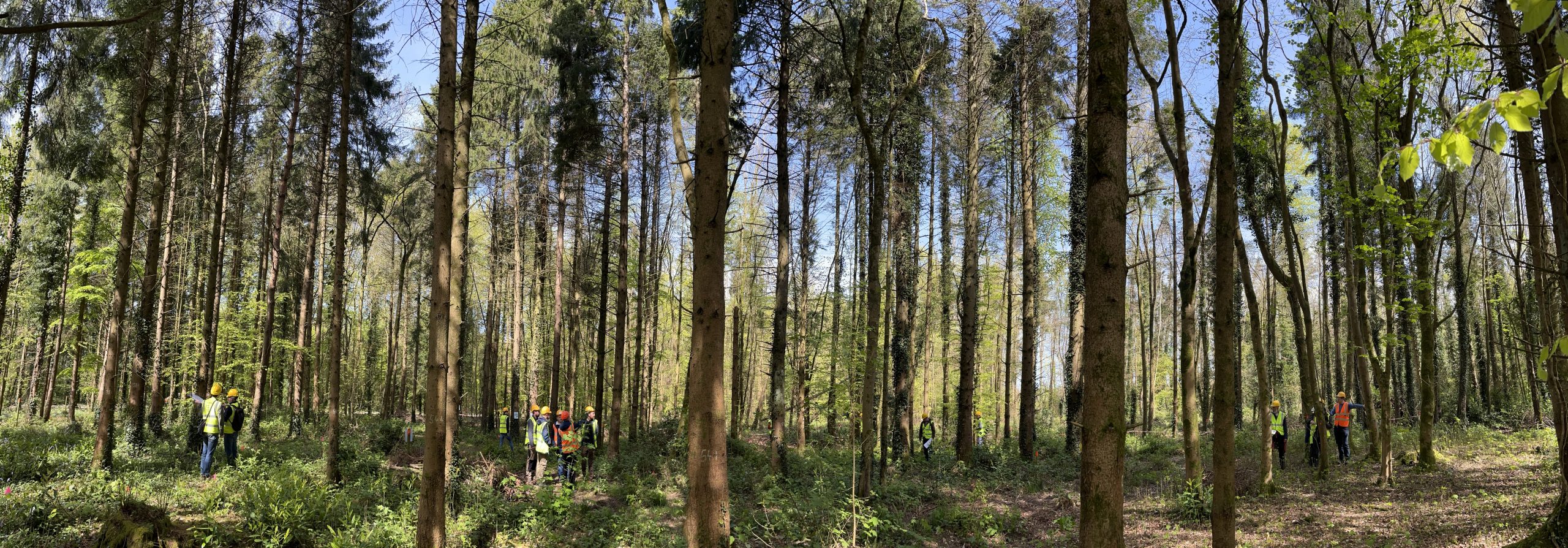 IBP “Train the Trainers” event is bearing first fruits: Ireland to host multiple outdoor workshops this Spring