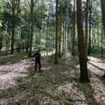 Testing SimInForest in the Field: First Training Exercise at the Křivoklát Marteloscope