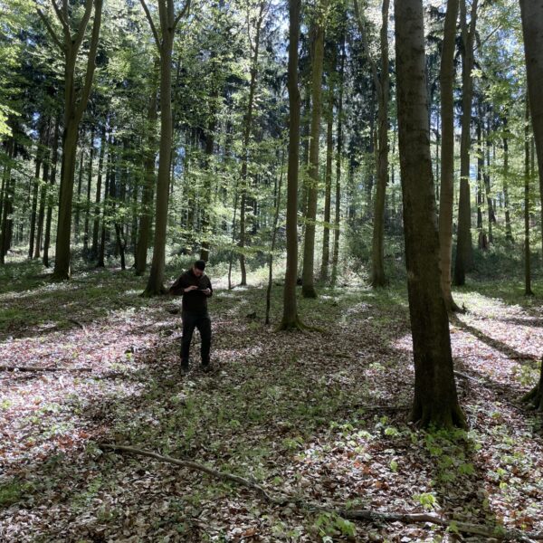 Testing SimInForest in the Field: First Training Exercise at the Křivoklát Marteloscope