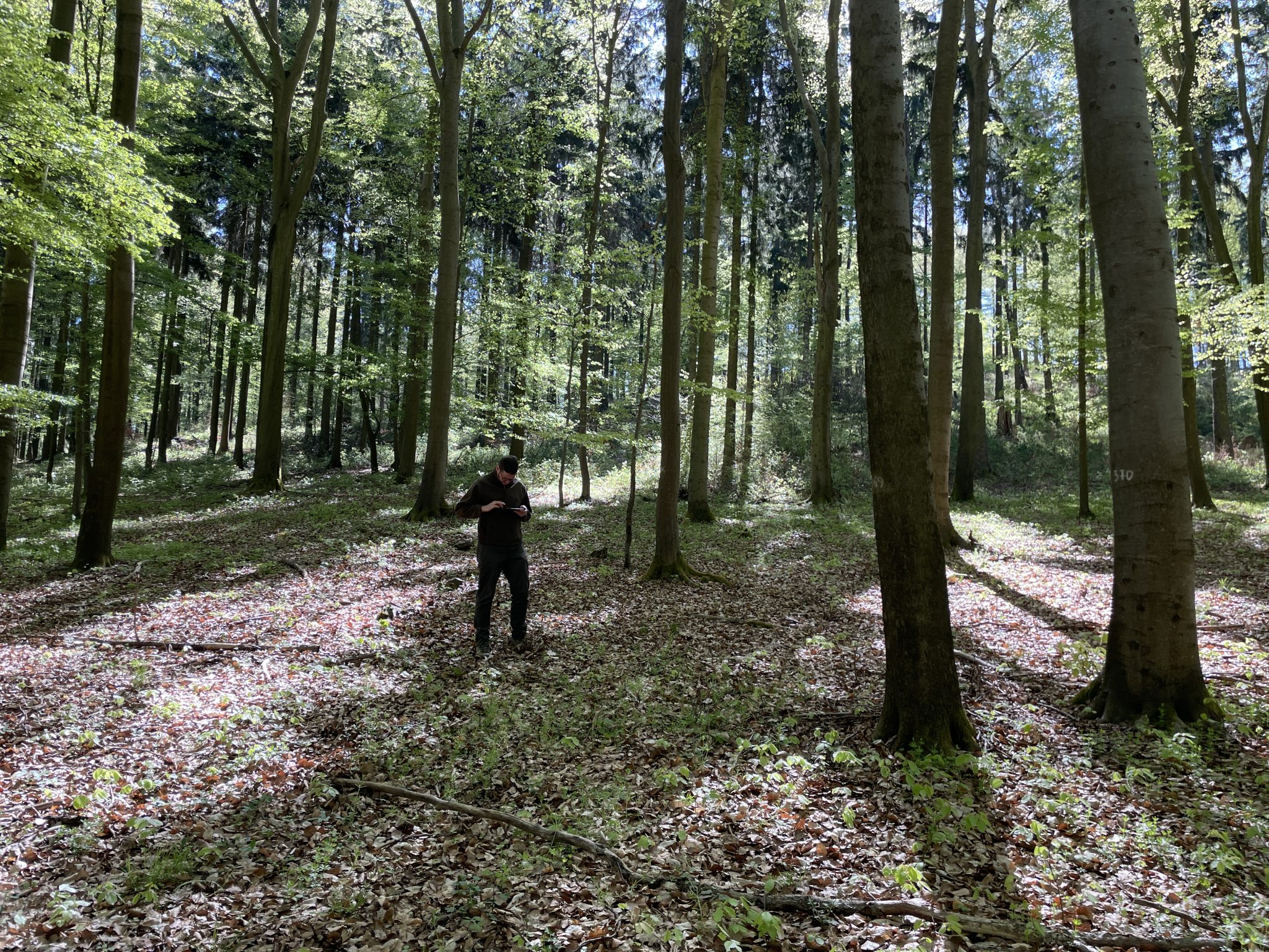 Testing SimInForest in the Field: First Training Exercise at the Křivoklát Marteloscope