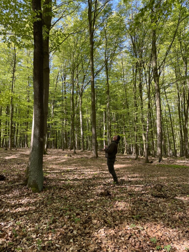 Testing SimInForest in the Field: