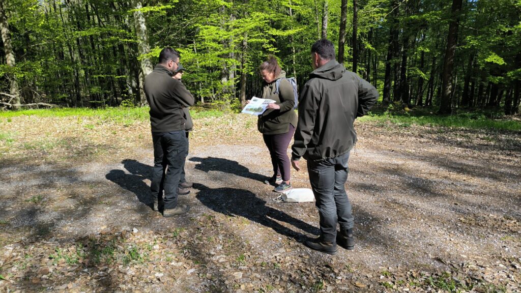 Testing SimInForest in the Field: First Training Exercise at the Křivoklát Marteloscope