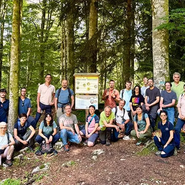 Insights from Cansiglio: A successful final conference of the LIFE SPAN project