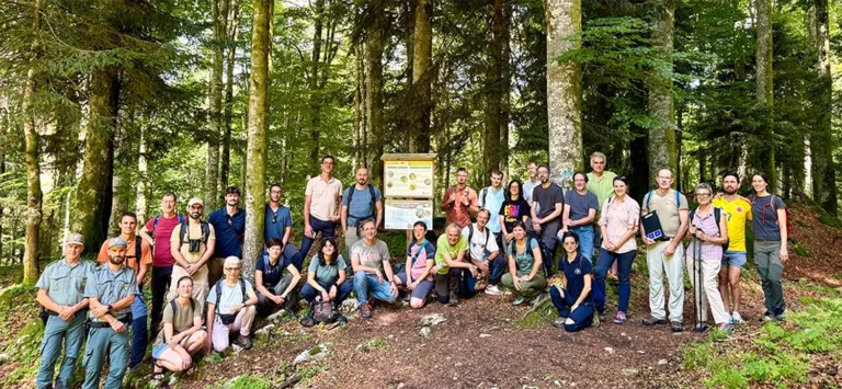 Insights from Cansiglio: A successful final conference of the LIFE SPAN project