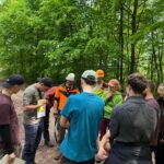 Successful Premiere in the Marteloscope Teaching and Learning Site in Tharandt Forest