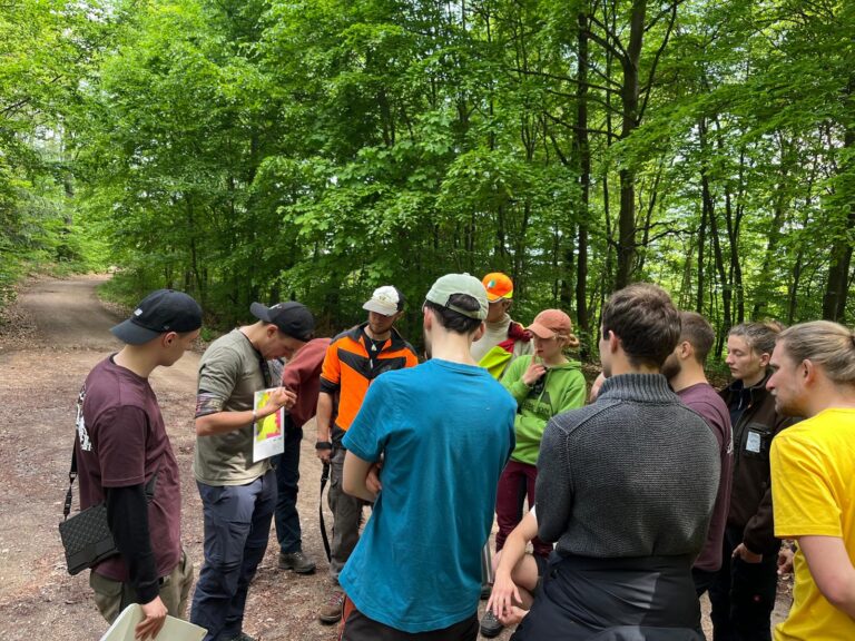 Successful Premiere in the Marteloscope Teaching and Learning Site in Tharandt Forest